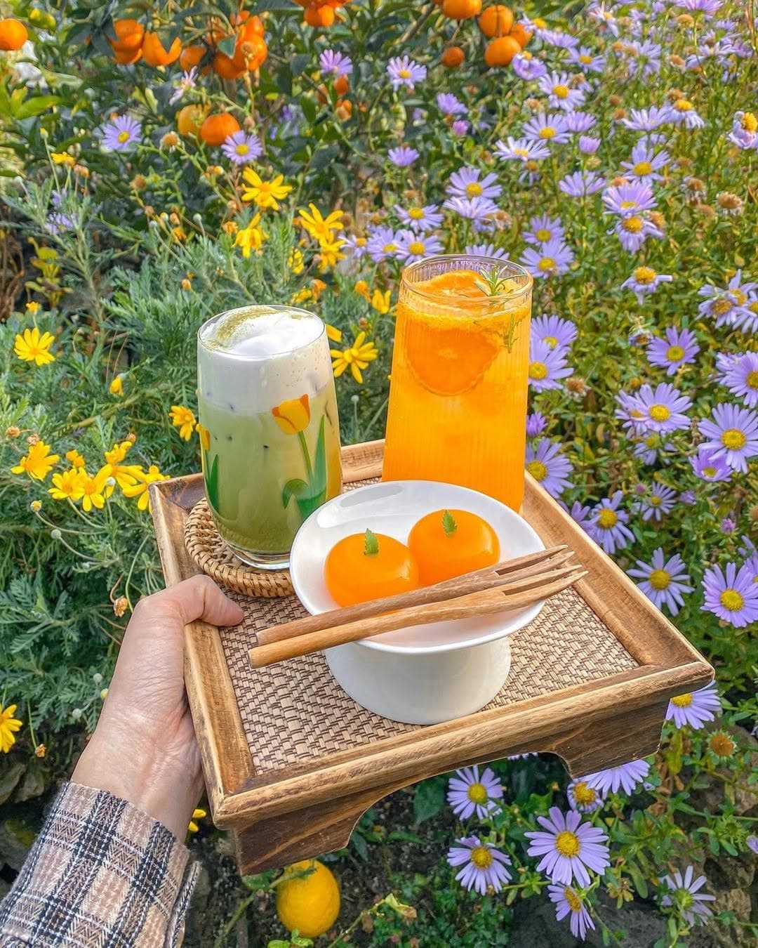Jeju Island's Tangerine-Themed Cafes