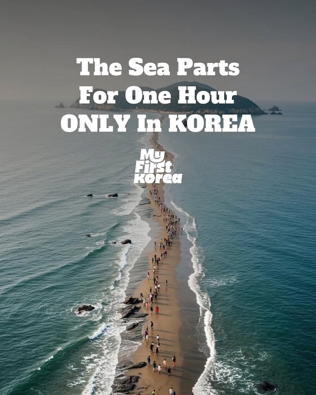Korea's Jindo Sea Parting Festival: Walk the Ocean Floor