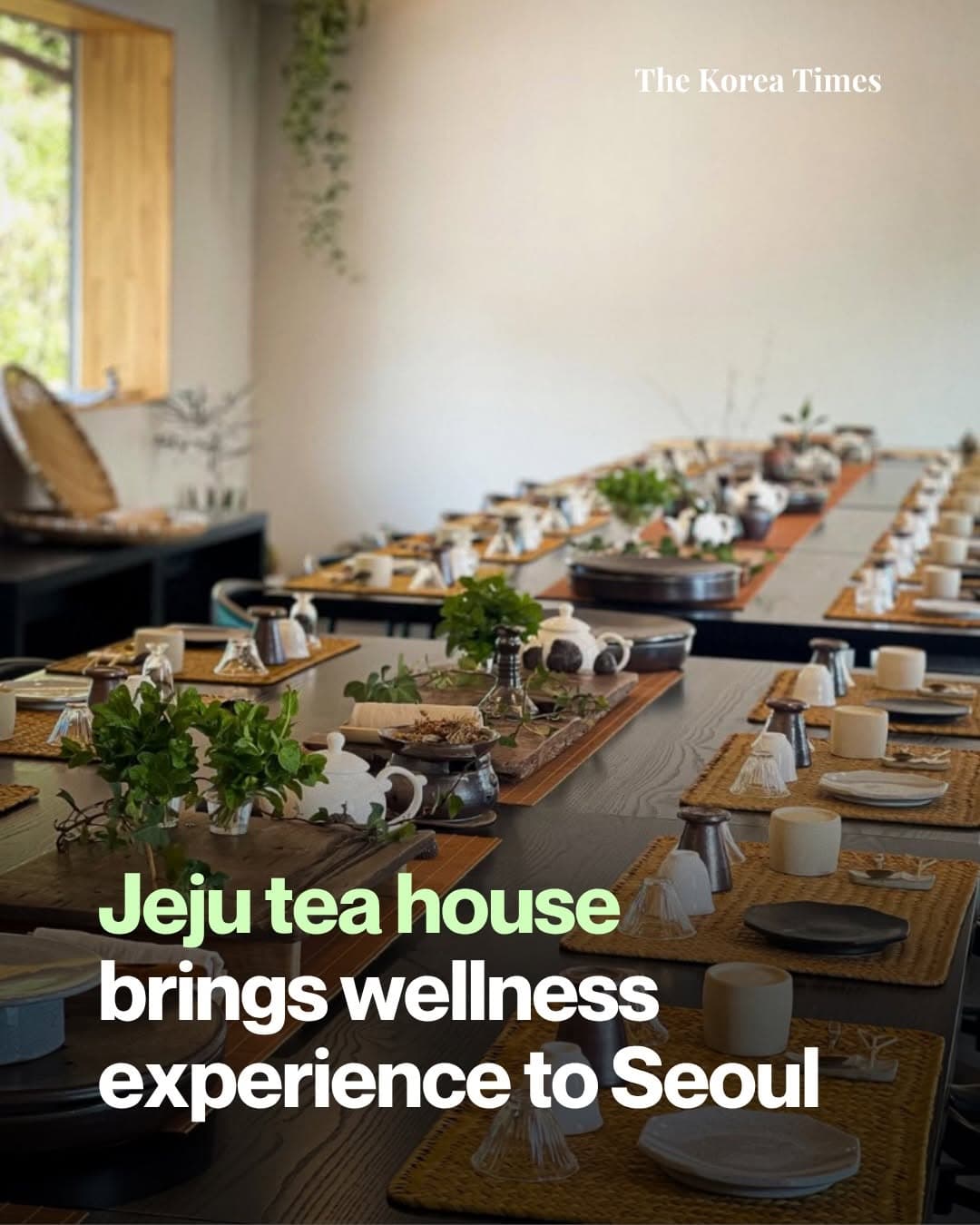 Jeju Tea House Pop-Up at Seoul's Seochon Lounge
