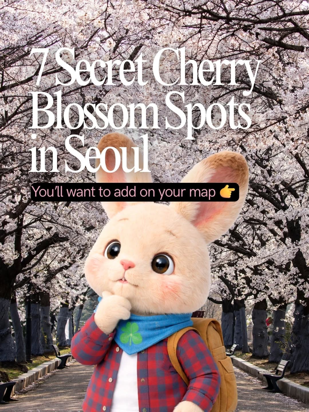 Seoul's Best Cherry Blossom Viewing Spots