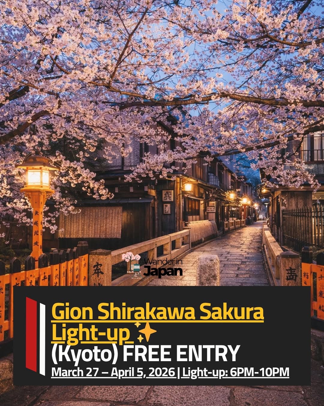Gion Shirakawa Enchanting Cherry Blossom Night Light-Up