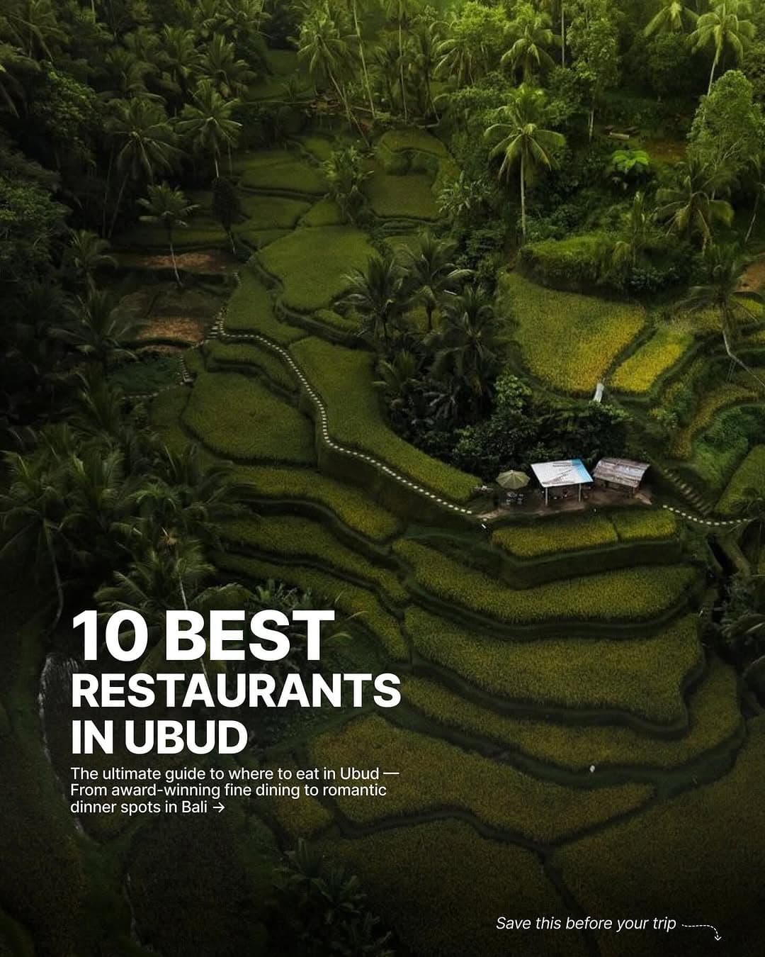 Top Ubud Restaurants You Should Try