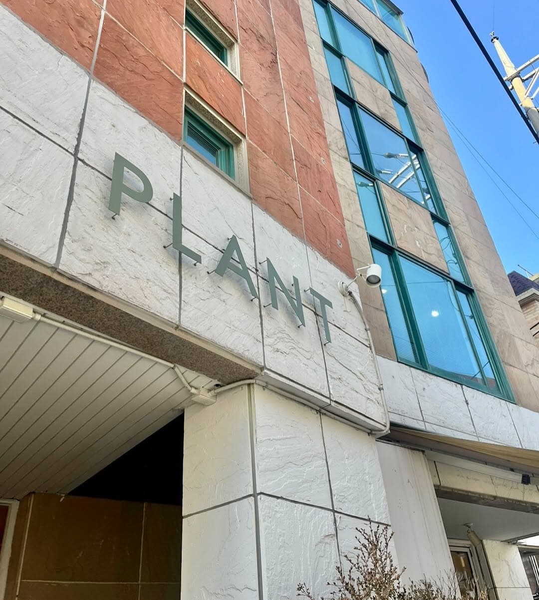 Plant Cafe Seoul: Vegan Dining in Itaewon and Yeonnam
