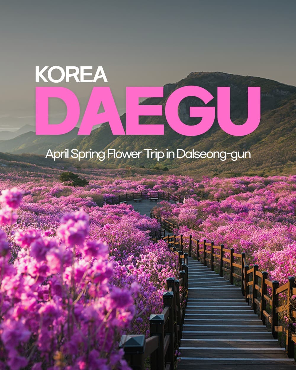 Dalseong-gun April Flower Viewing Spots