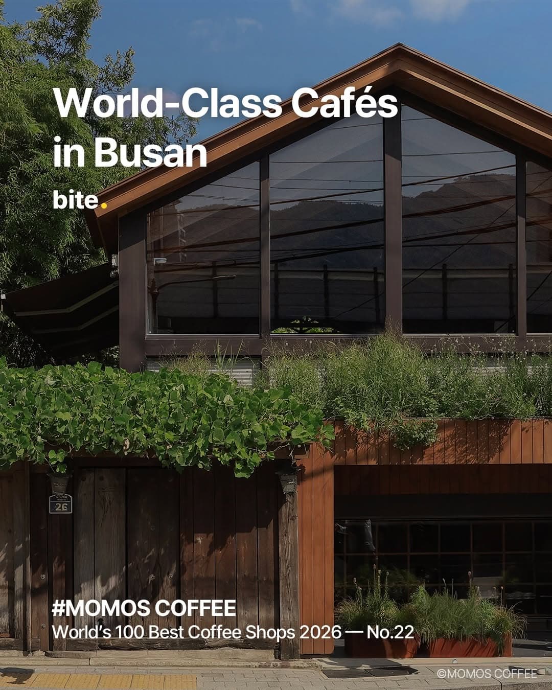 Busan Cafés Rank Among World's Best