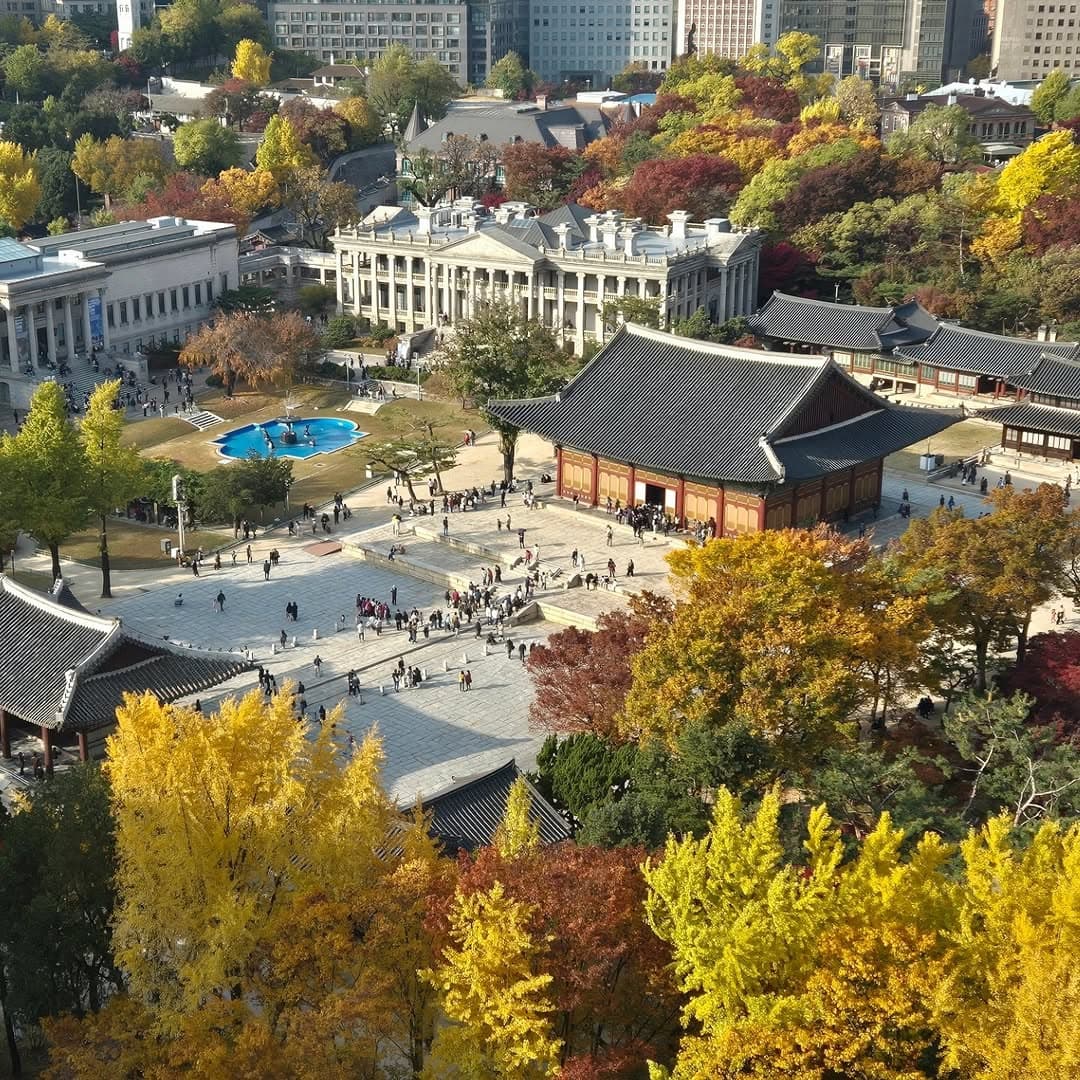 Seoul City Hall & Jeongdong Observatory Views