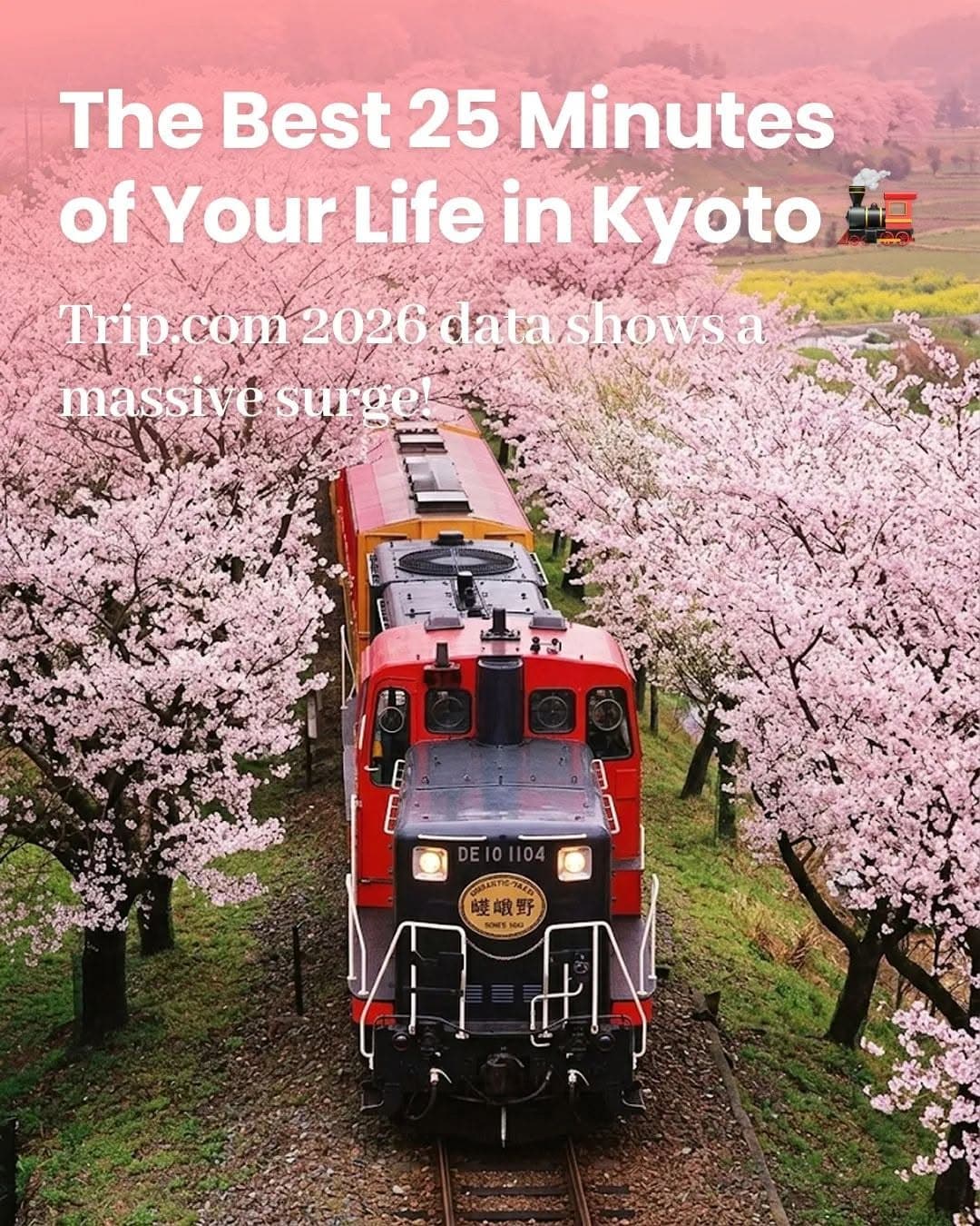 Sagano Train Journey Through Kyoto's Hozugawa Gorge