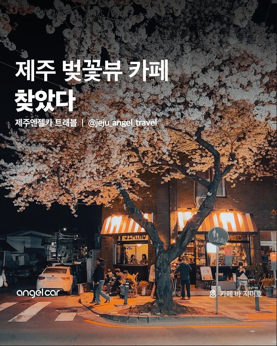 Jeju Cherry Blossom View Cafes