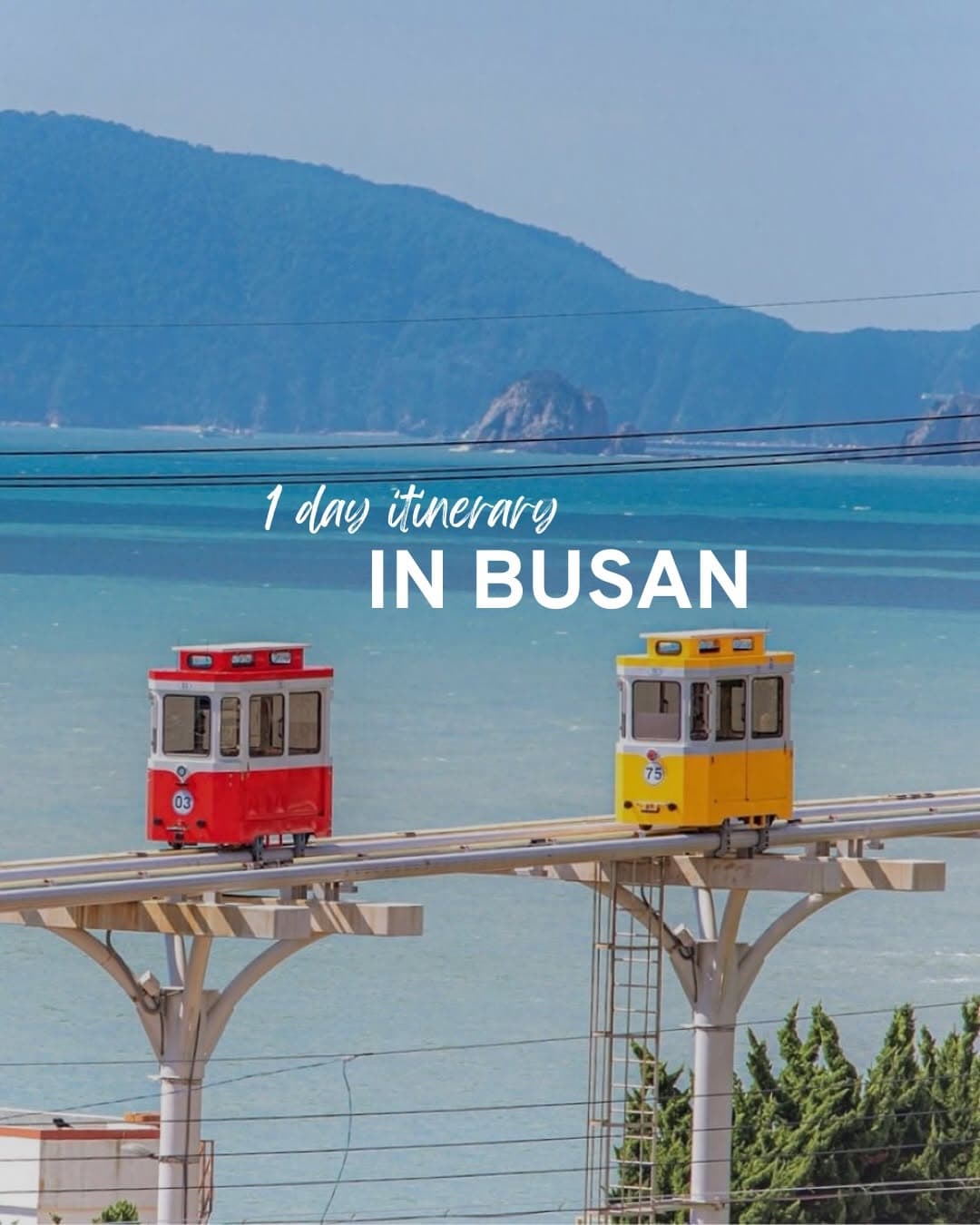 Busan Travel: Beach, City, and Forest Exploration