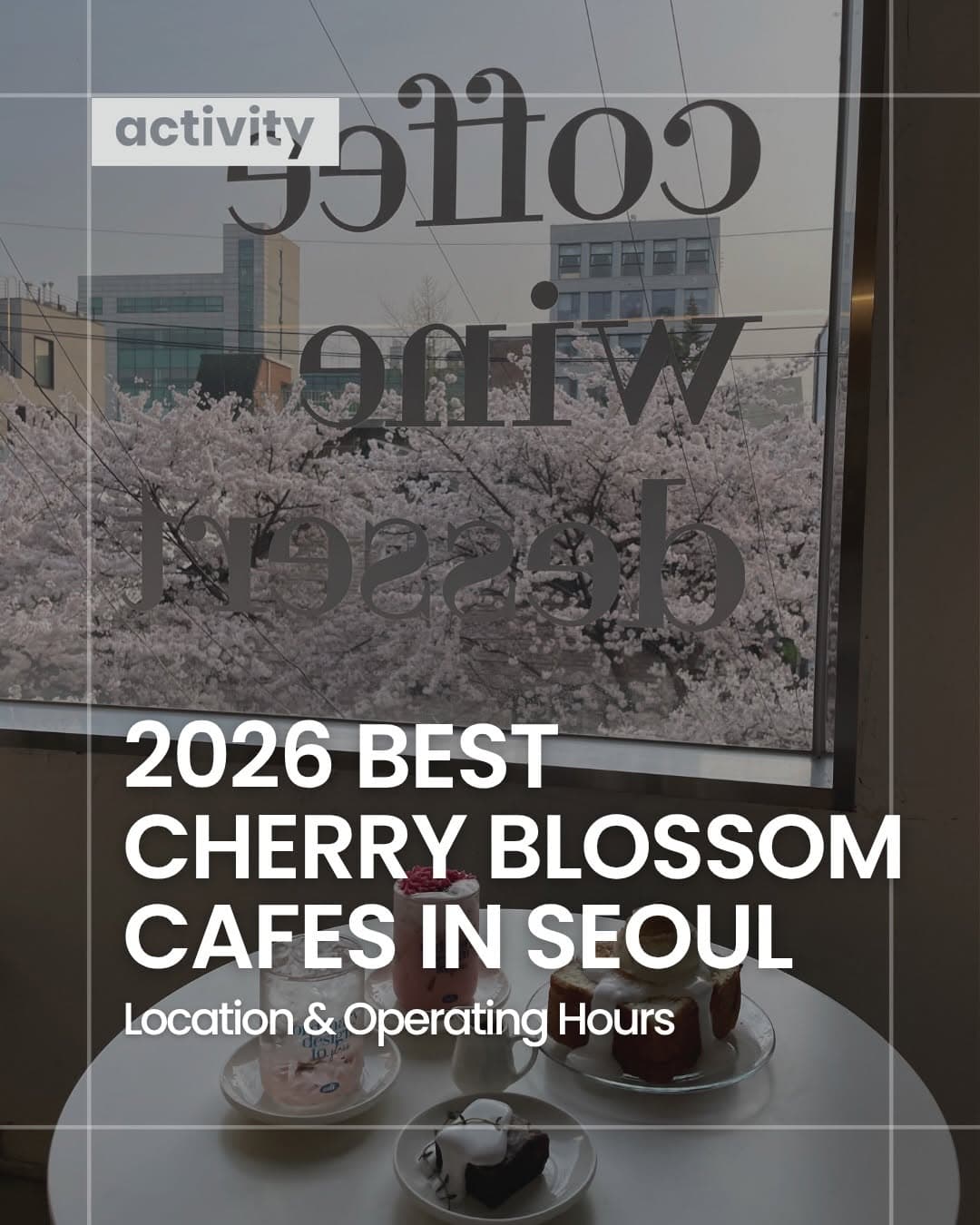 Best Cherry Blossom Cafes in Seoul For Spring