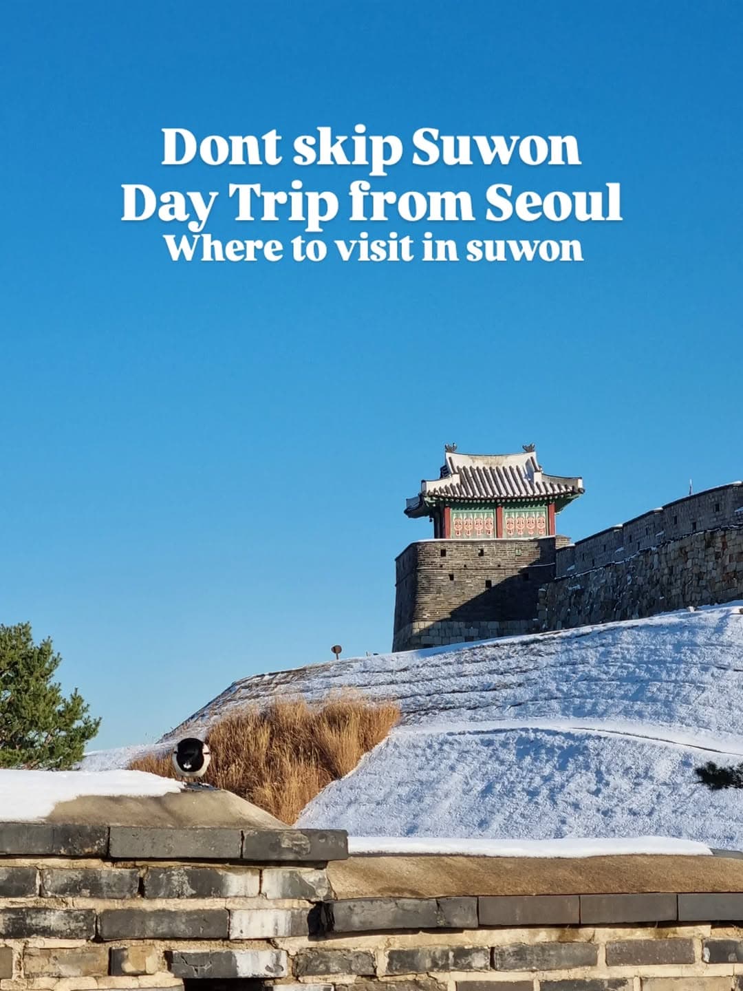 Suwon Day Trip: Fortress, Palace, and Modern Mall