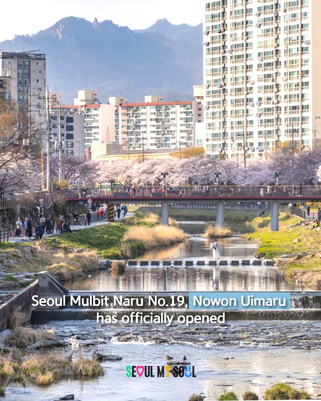 New Waterfront Experiences Along Seoul's Streams