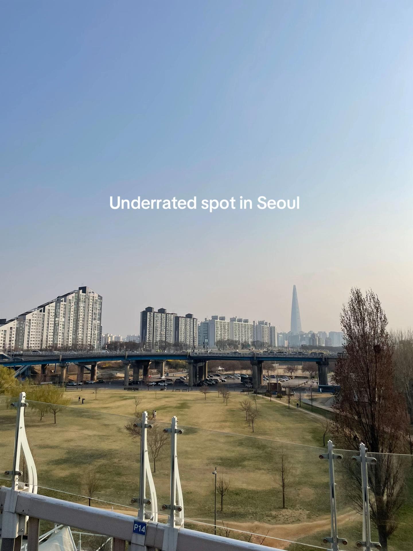 Seoul's Iconic Towers and Bridges