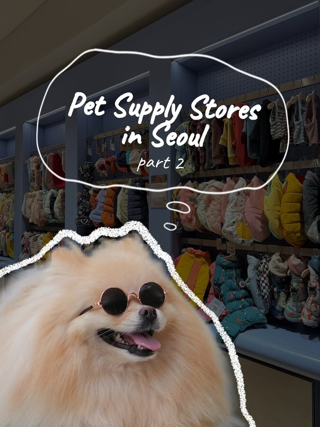 Seoul Pet Stores and The Hyundai Seoul Mall