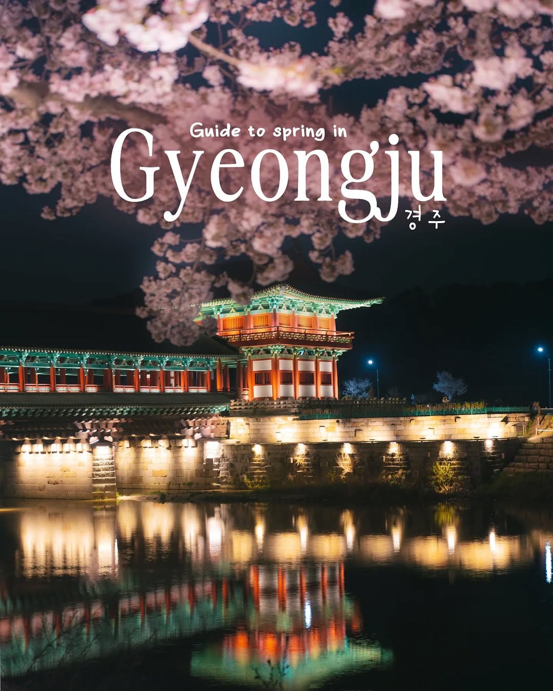 Explore Gyeongju's Cherry Blossom Hotspots