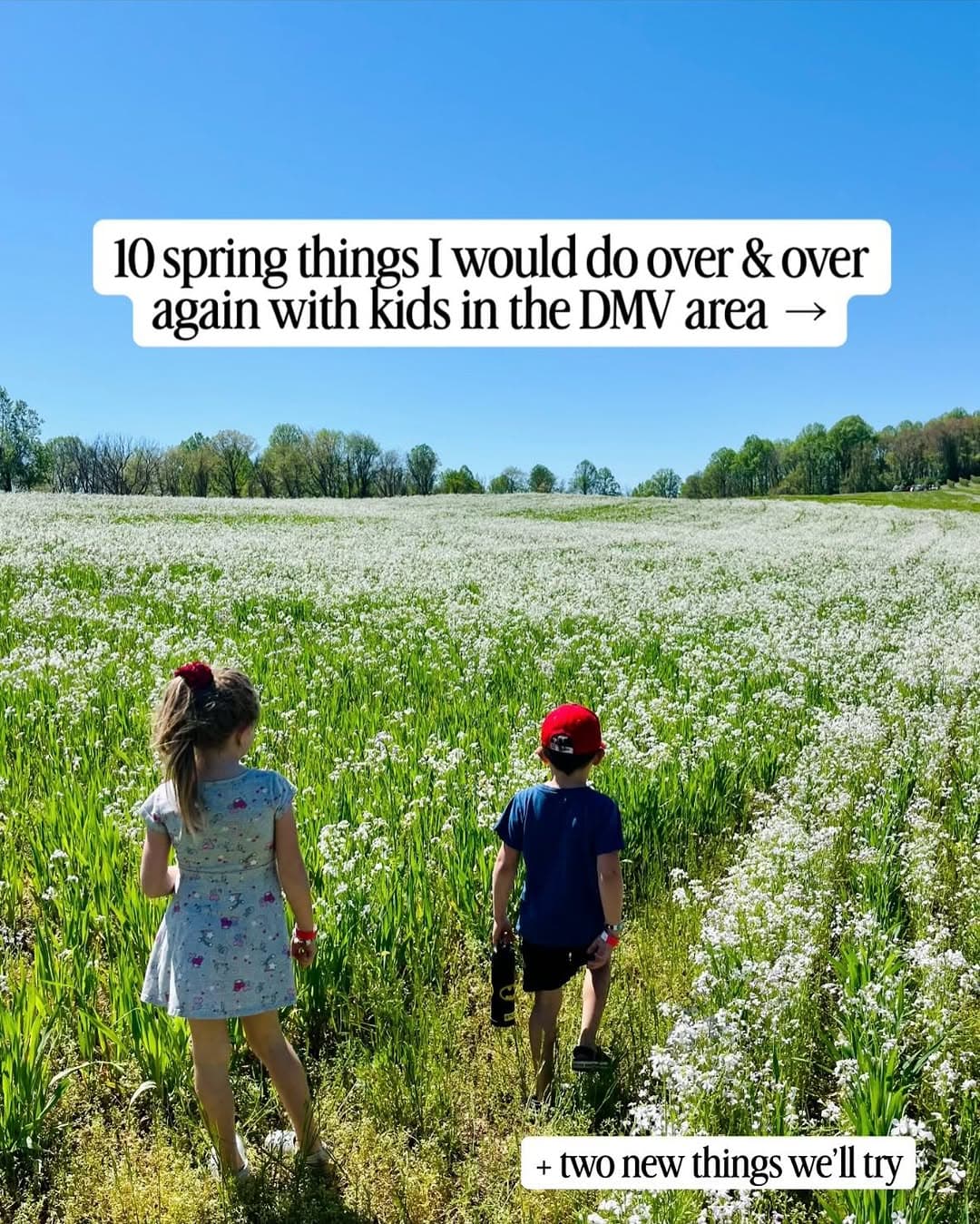 Maryland Spring Activities For The Whole Family