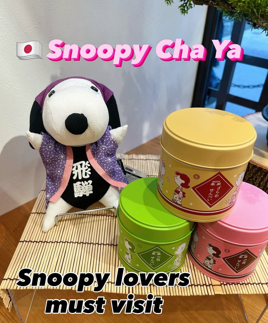 Snoopy Tea House: A Must-Visit in Hida Takayama