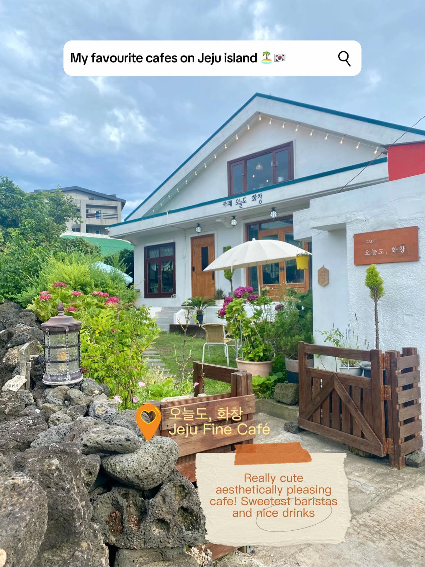 Charming Jeju Cafes