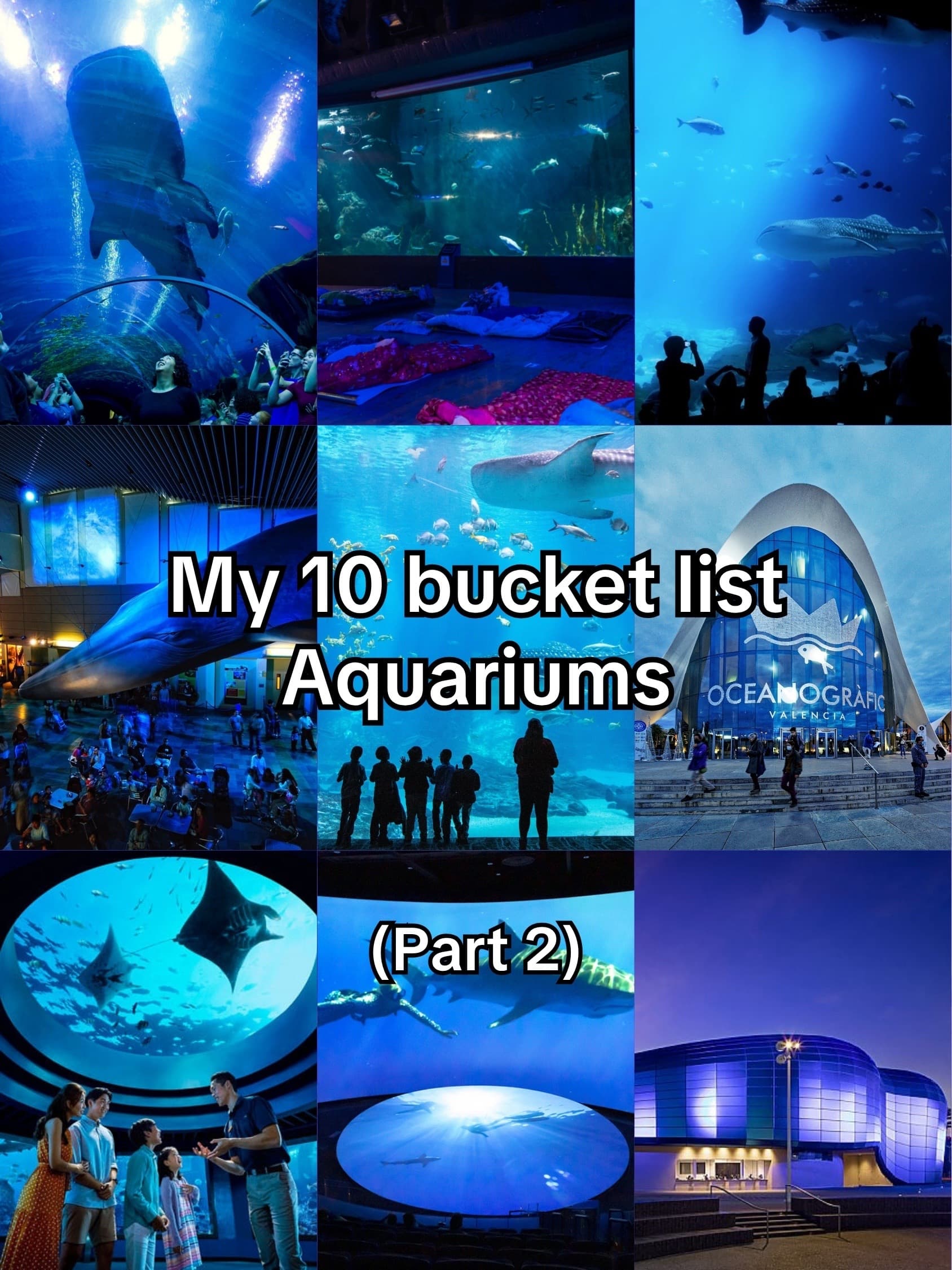 Remarkable Aquariums That Benefit Ocean Conservation