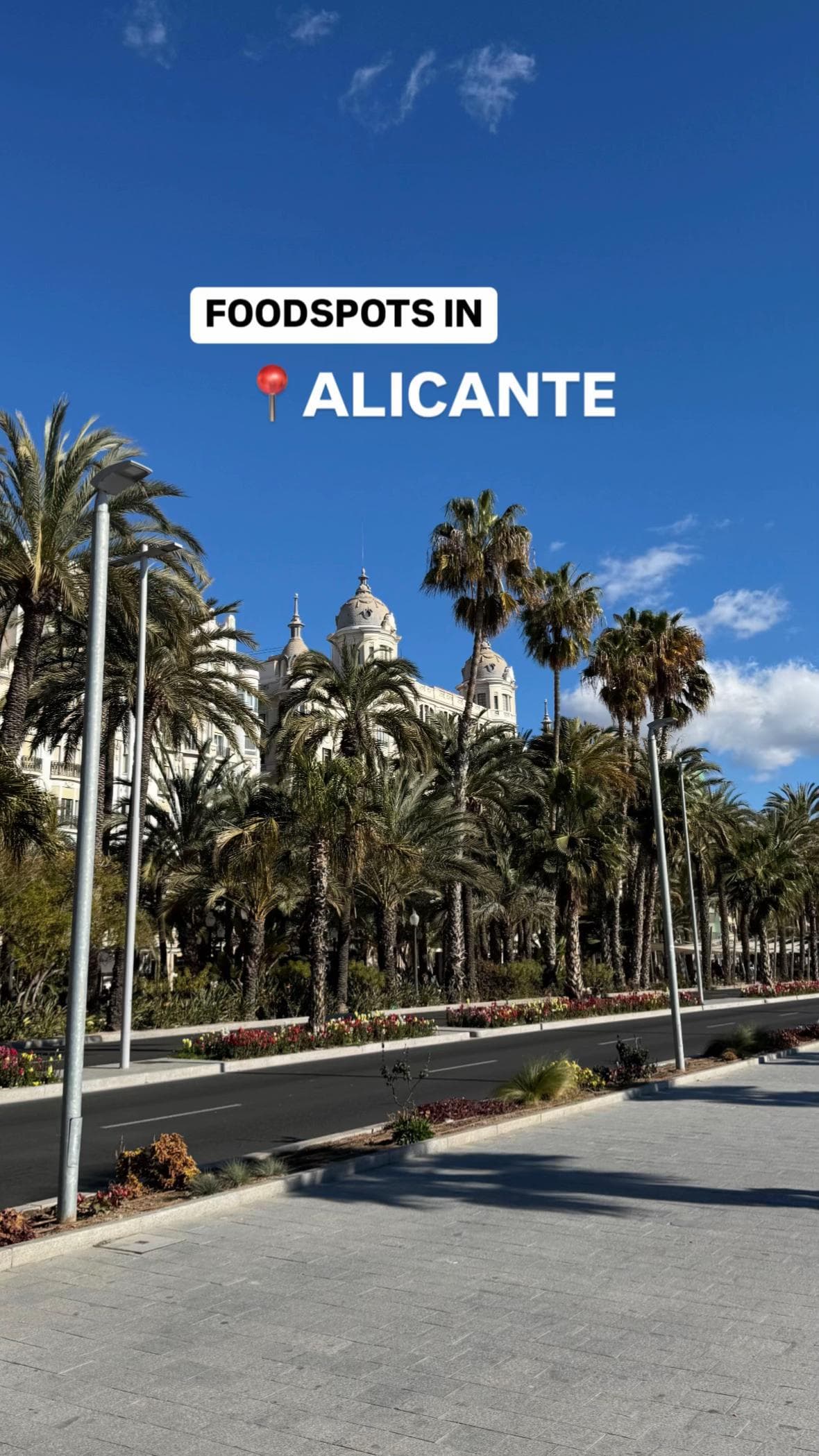 Alicante's Top Pizzerias and Bakeries