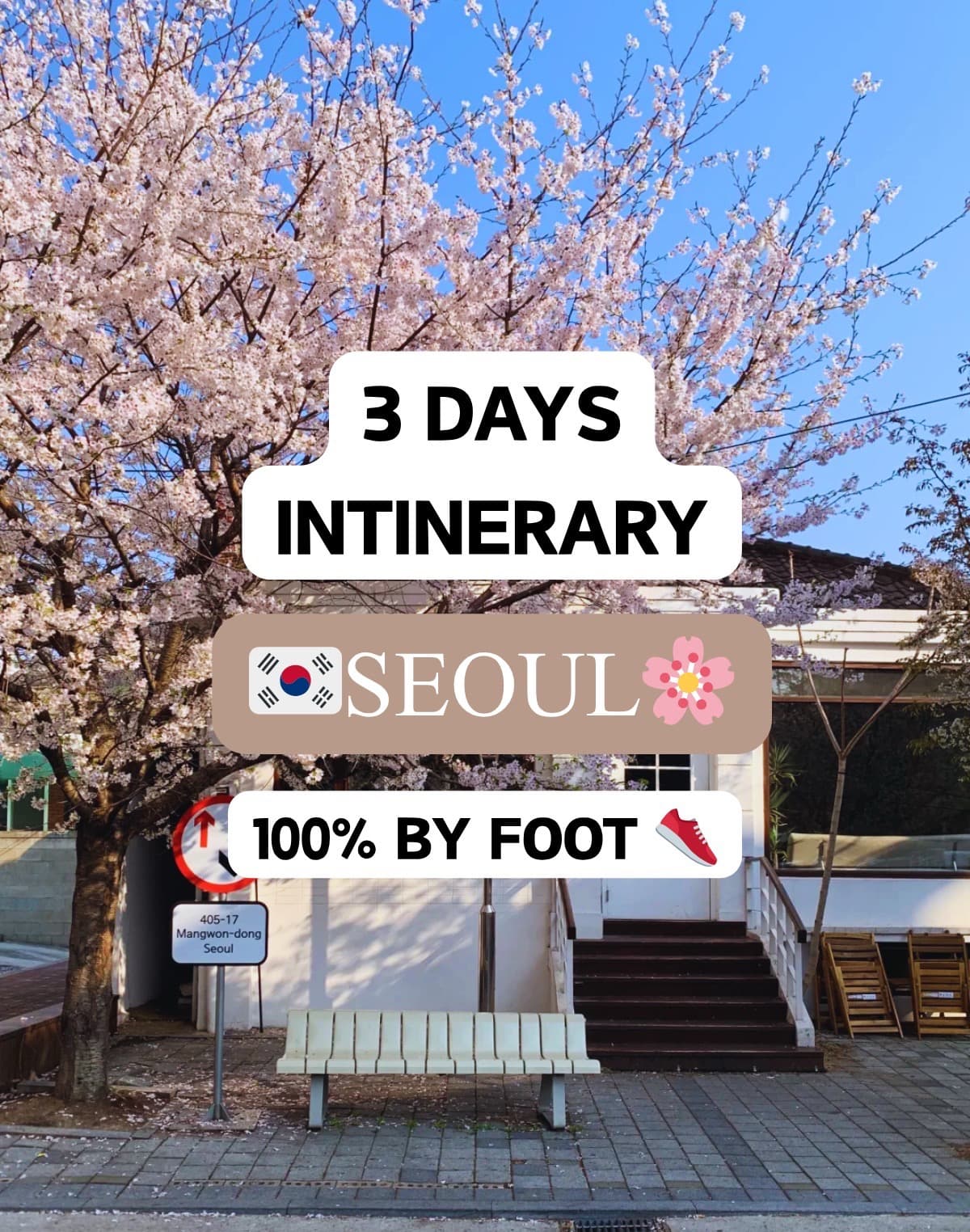 Seoul's Top Attractions: Palaces, Markets, and Towers