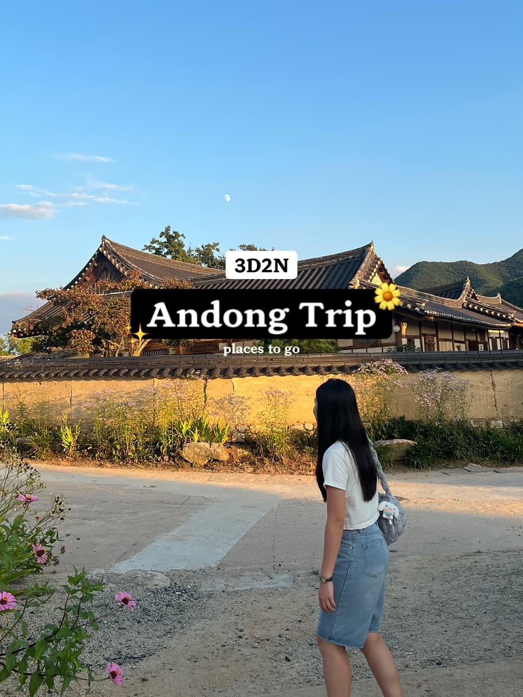 Andong: Discover Traditional Korean Culture