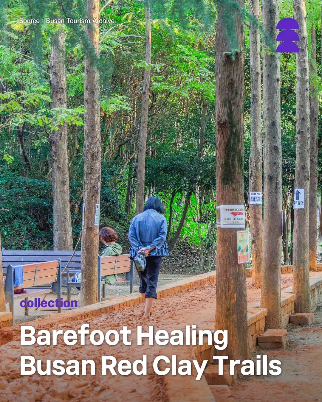 Busan's Best Barefoot Red Clay Walking Trails