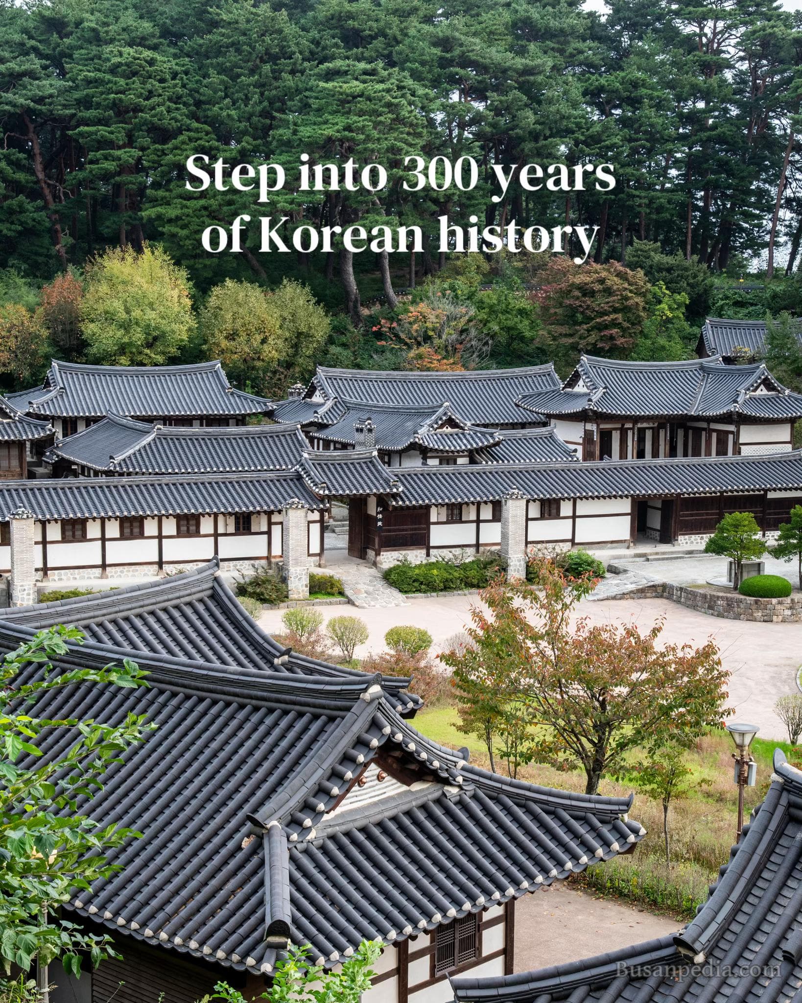 Seongyojang House Near Gyeongpo Lake