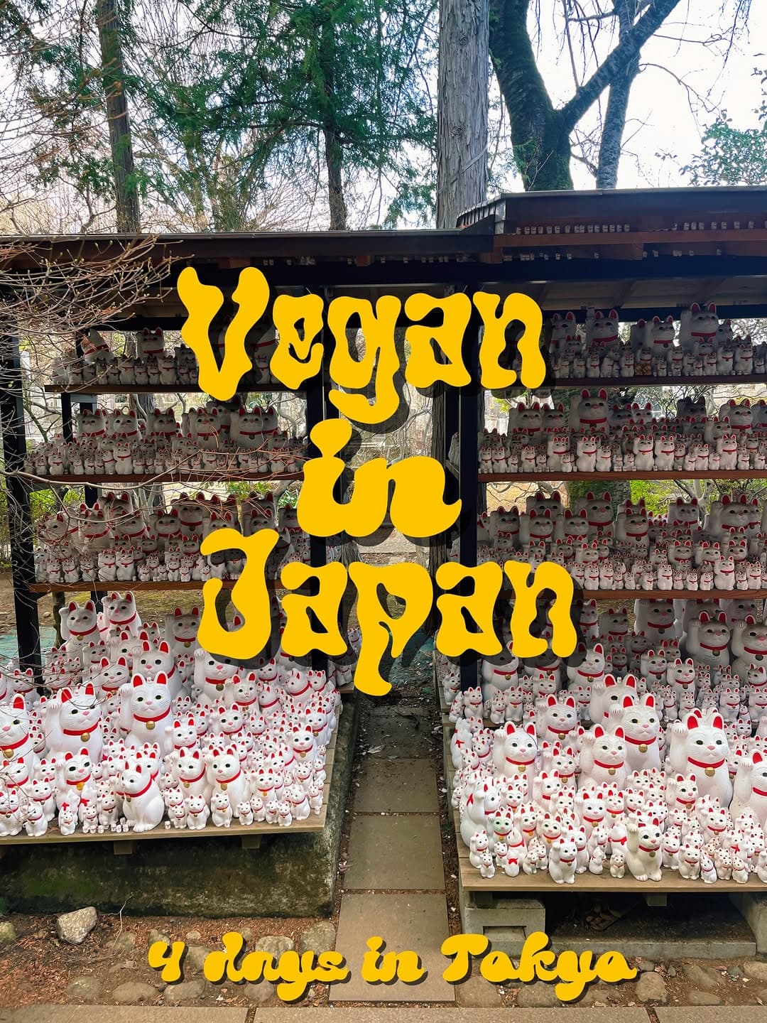 Tokyo Vegan Food and Attractions Guide
