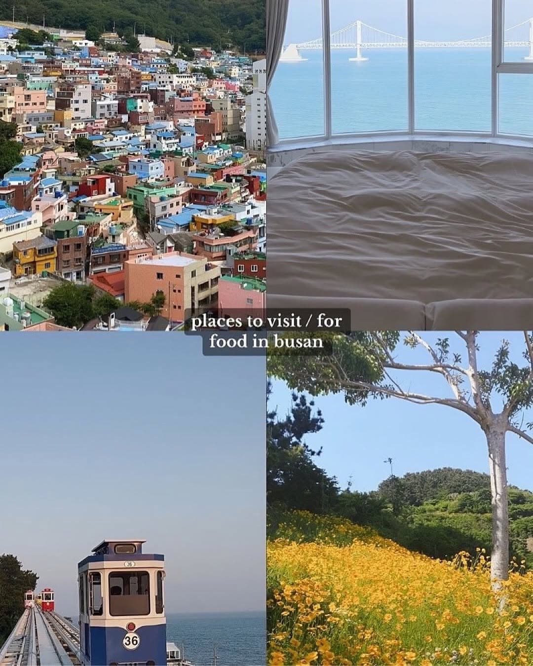Busan Mini Guide: Beaches, Culture, and Cuisine