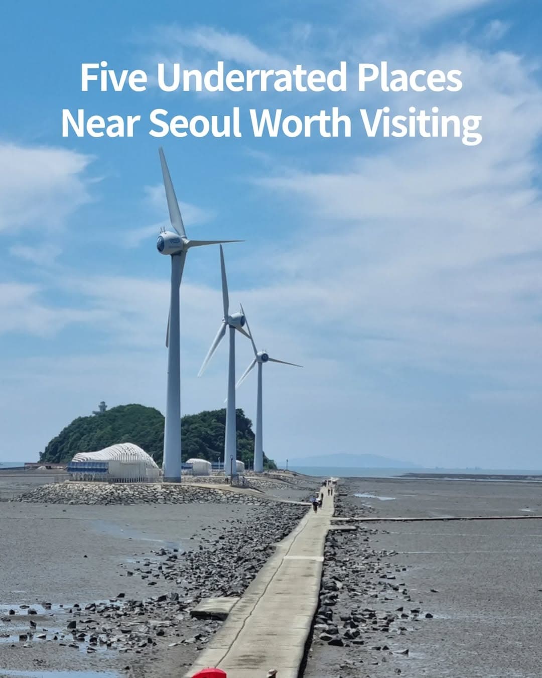 Seoul Grand Park and Imjingak: Peaceful Escapes