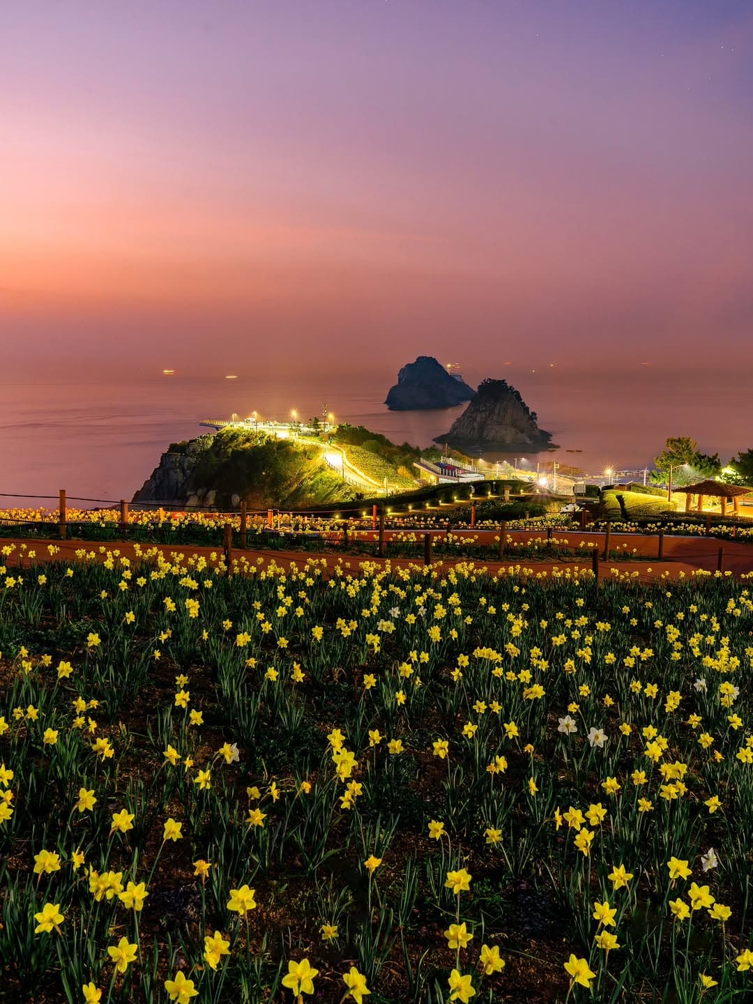 Oryukdo Skywalk and Islets Bloom