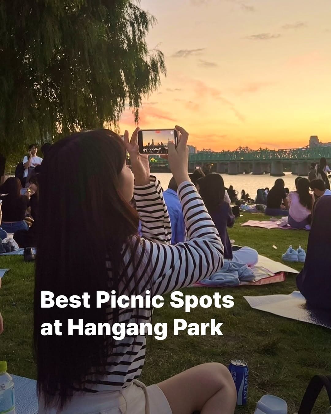 Seoul's Best Hangang Park Picnic Spots