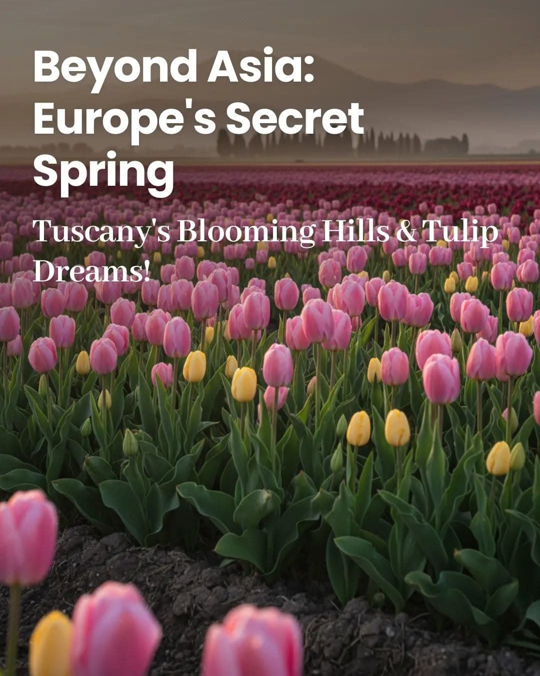 European Spring Floral Escapes