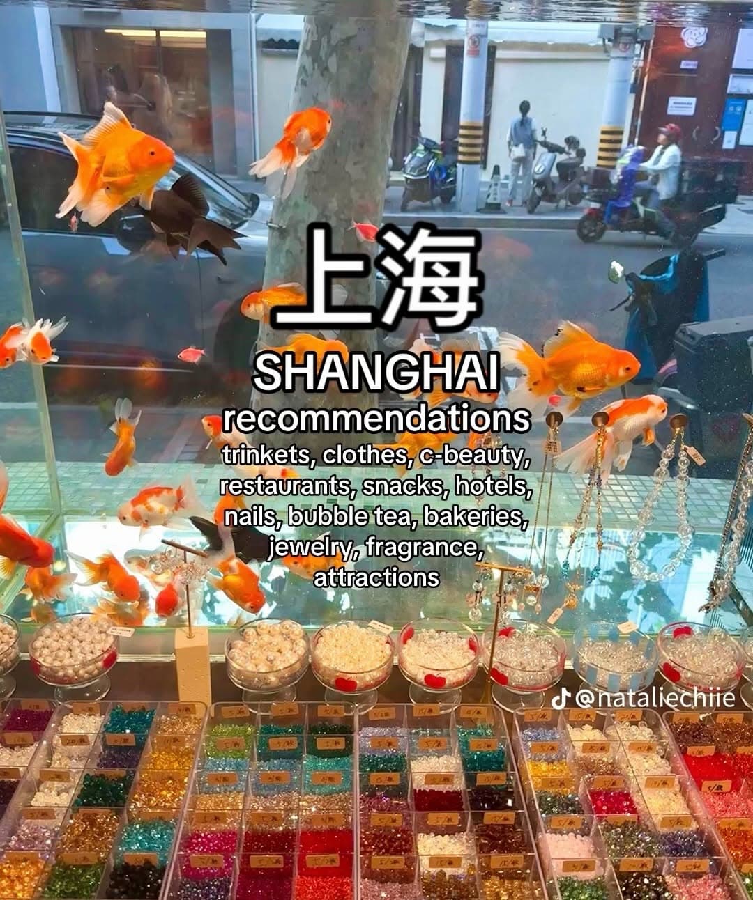 Shanghai's Top Foodie and Sightseeing Destinations