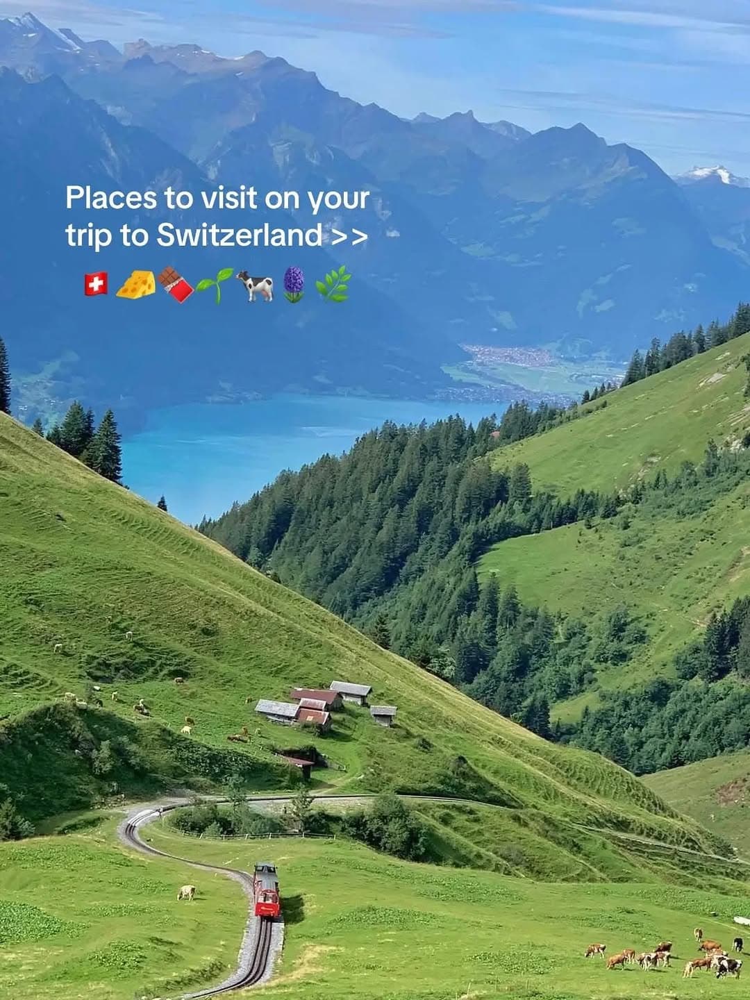Swiss Alps, Lakes, and Villages Await