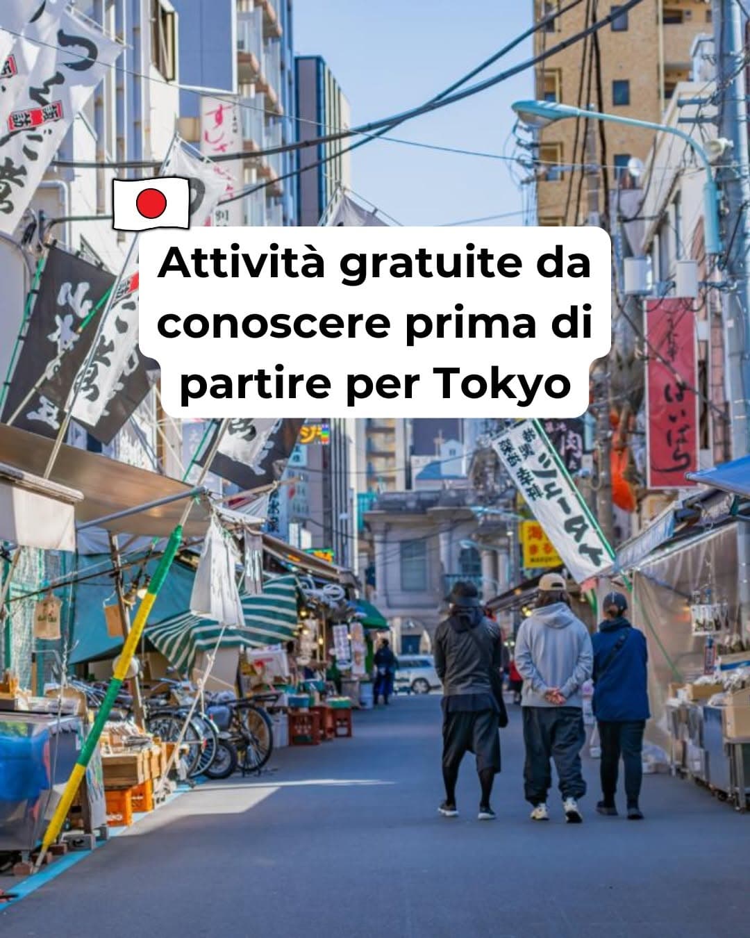 Tokyo's Top Attractions: Temples, Views, and Sumo
