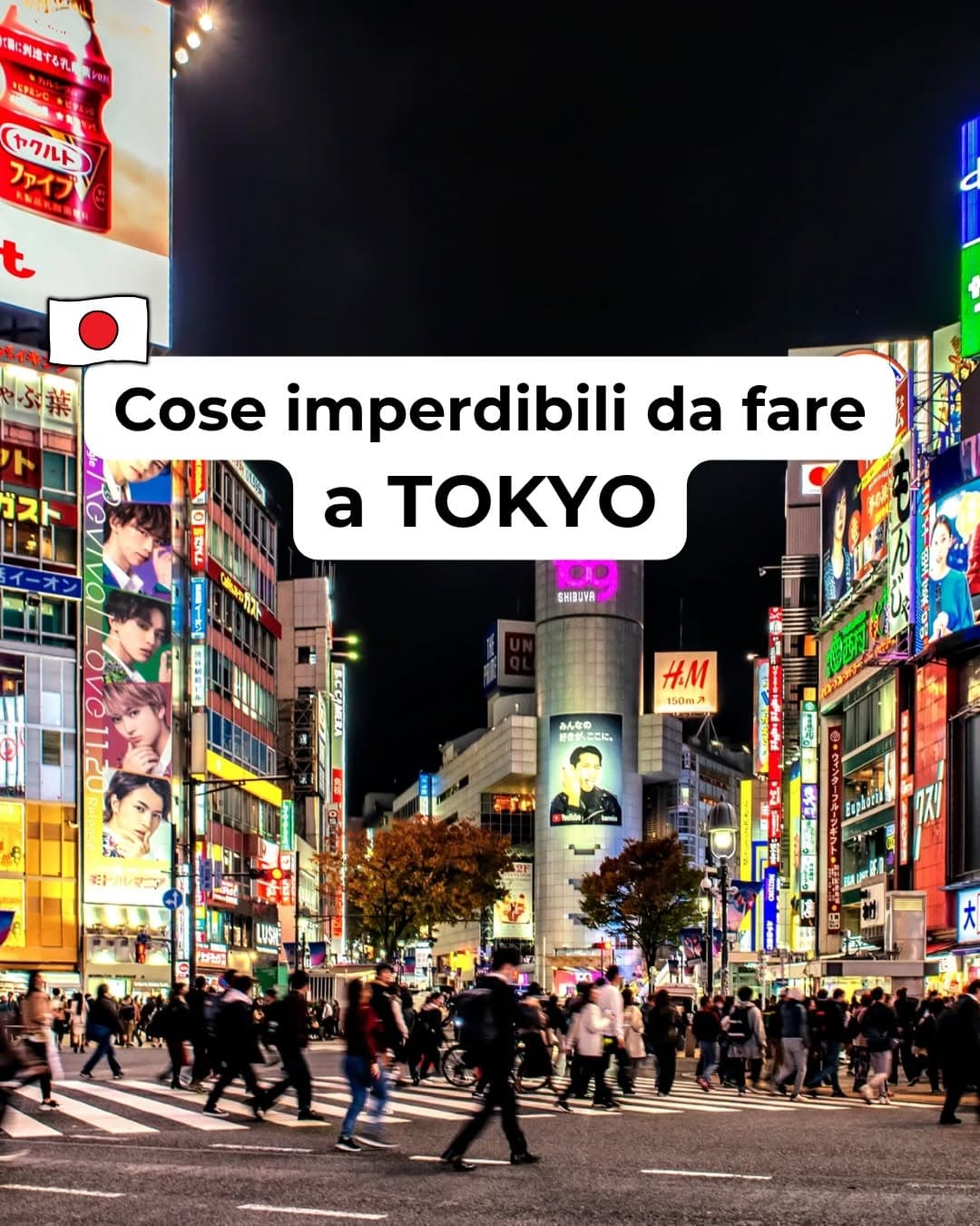 Japan Travel Guide: Popular Tokyo Attractions