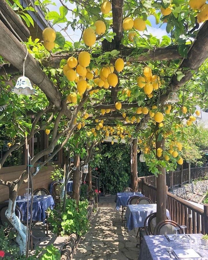 Amalfi Coast: Nature, History, and Gastronomy