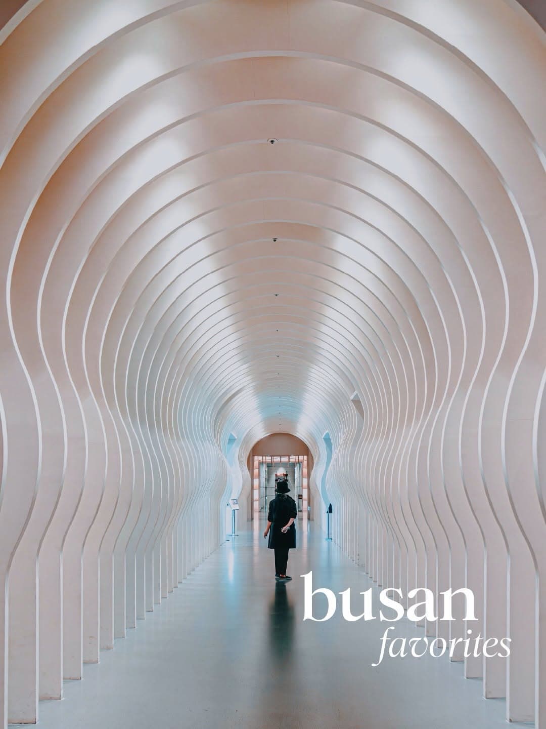 Busan Recommendations: Nature, Books, and Coastal Charm