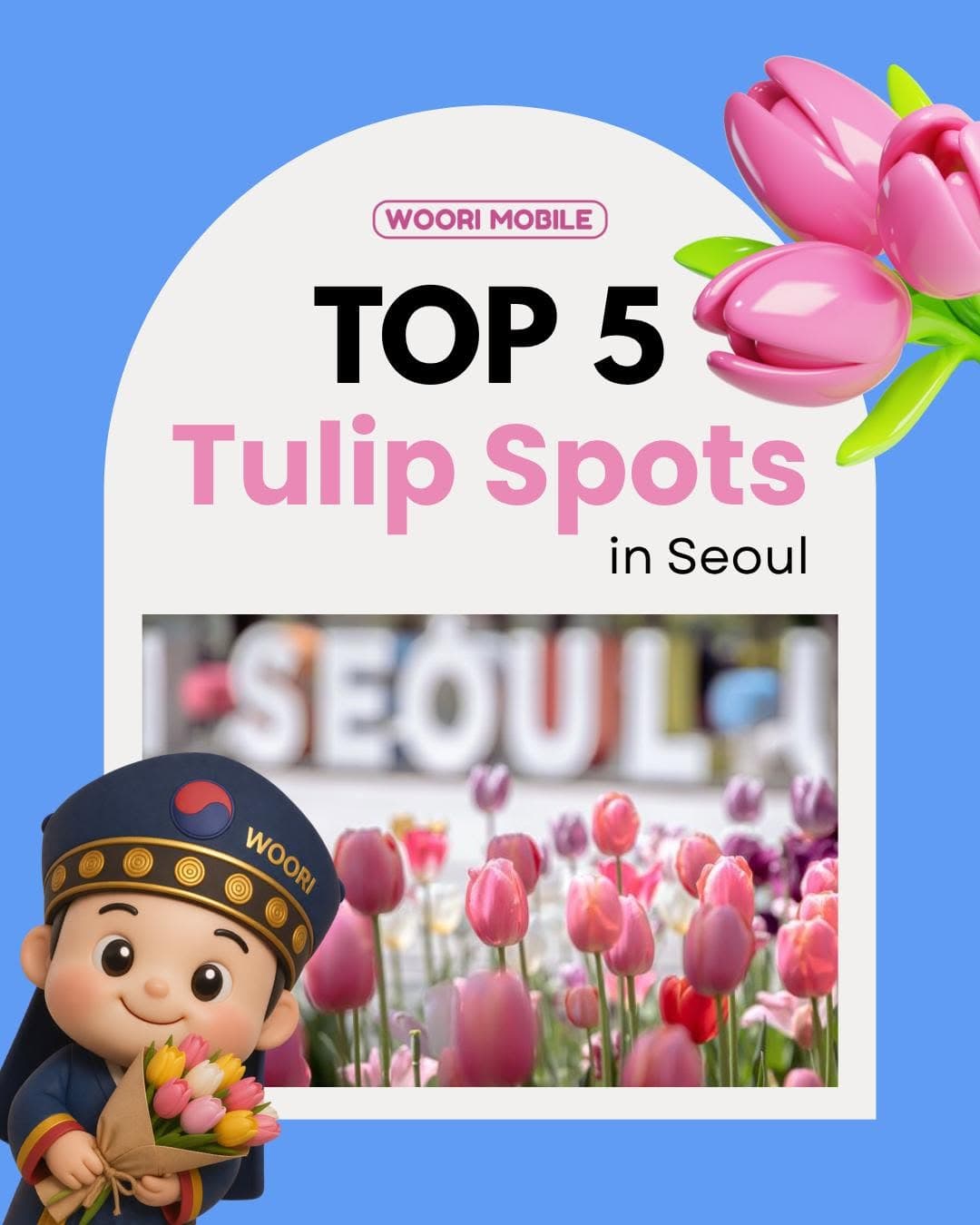 Seoul Parks Bloom With Spring Tulips