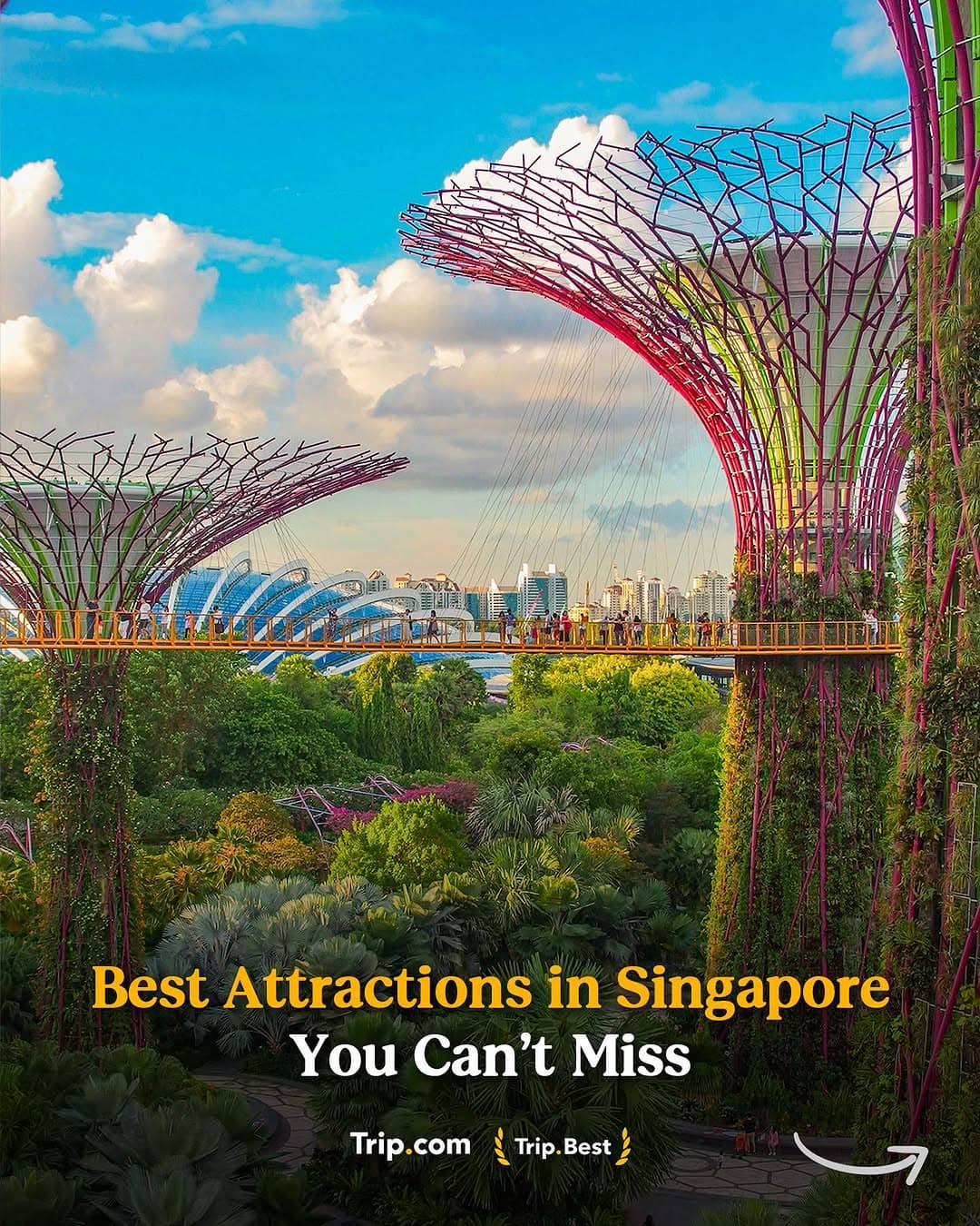 Singapore Attractions: Gardens, Museums, and More