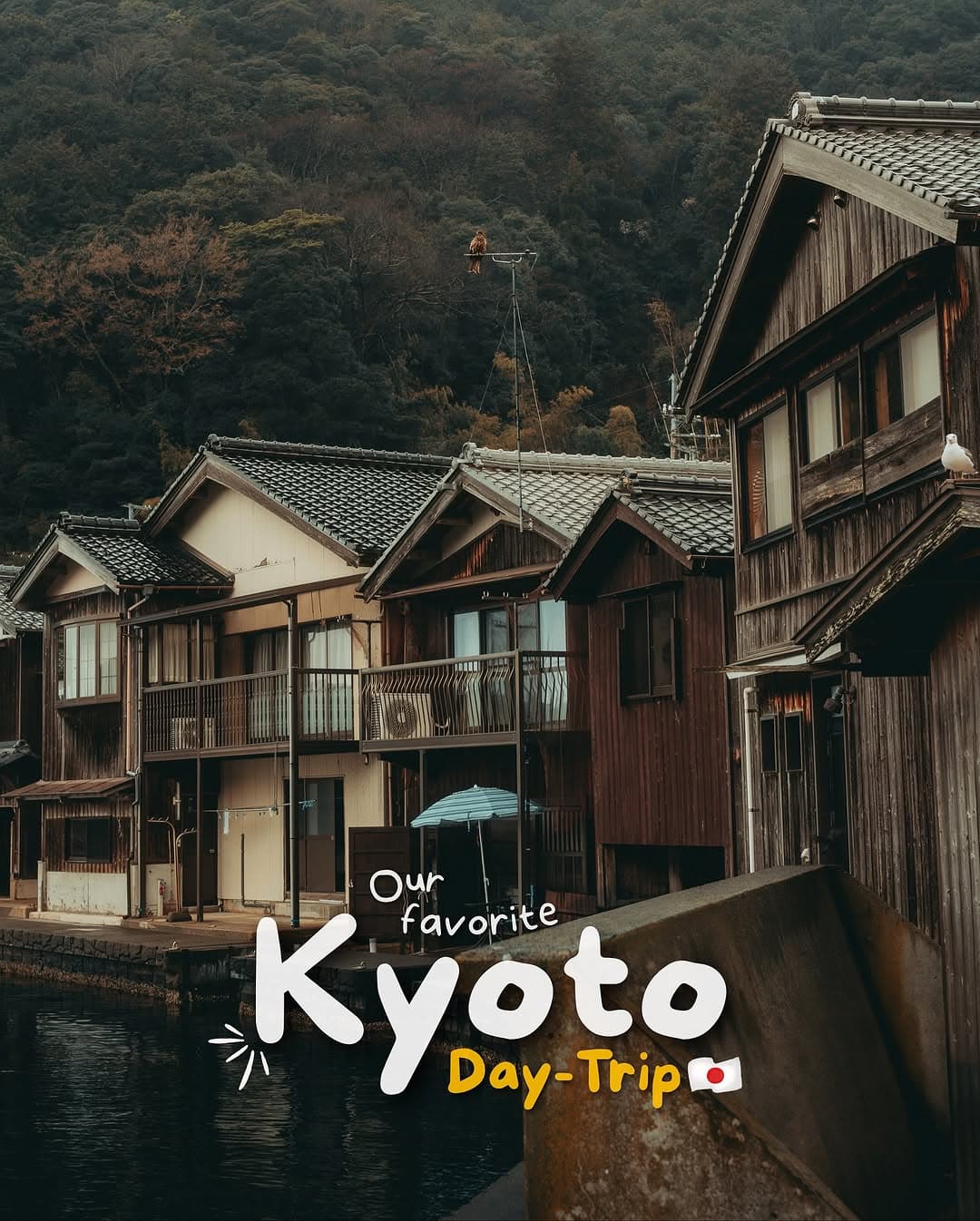 Kyoto Day Trip: Amanohashidate and Ine Fishing Village