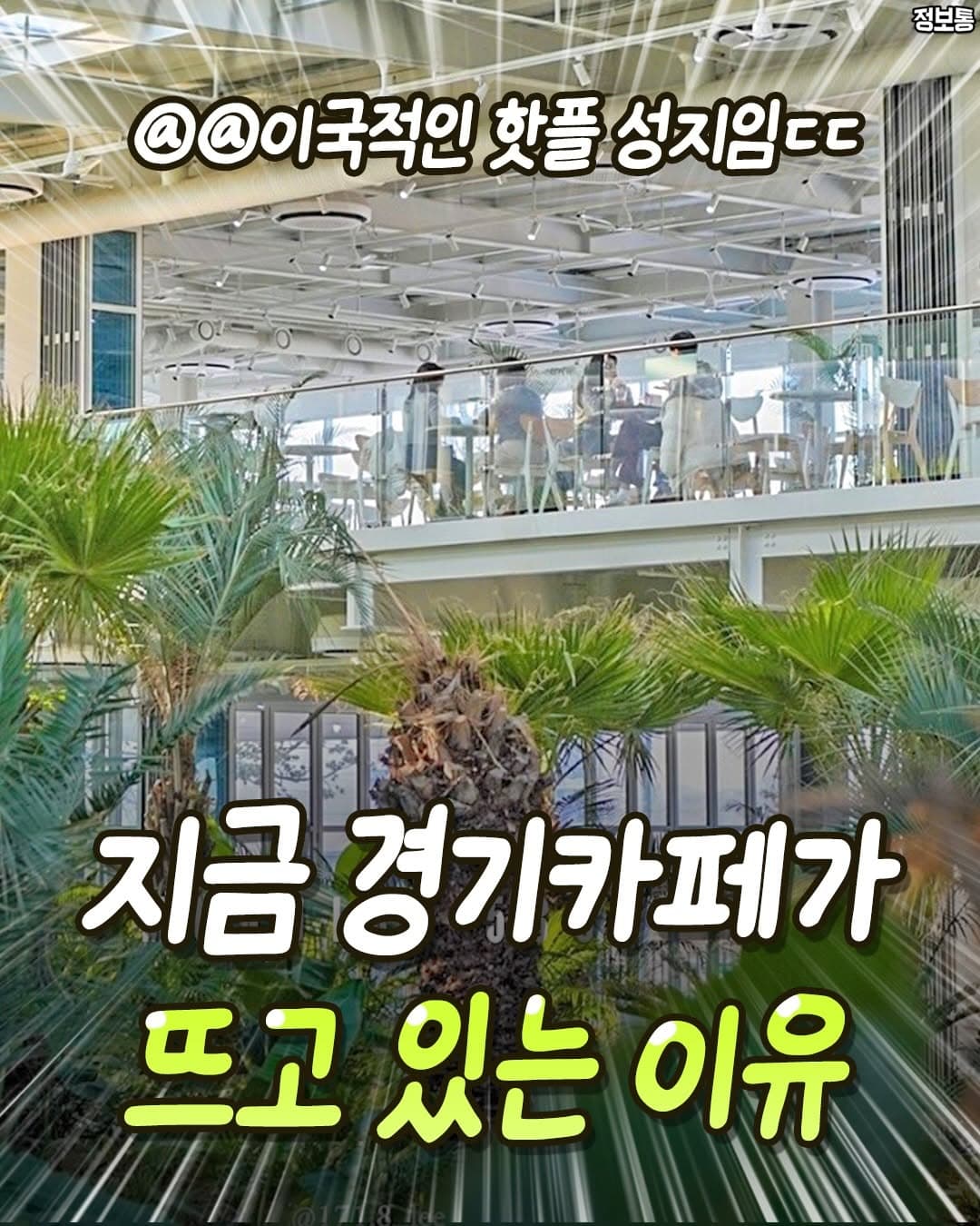 Unique Cafes In Gyeonggi Province