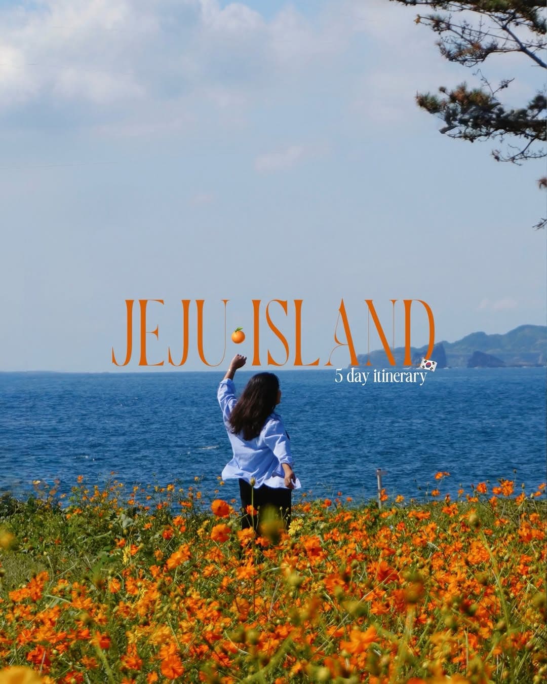 Jeju Island Itinerary: Coastal Drives, Cafes, and Waterfalls