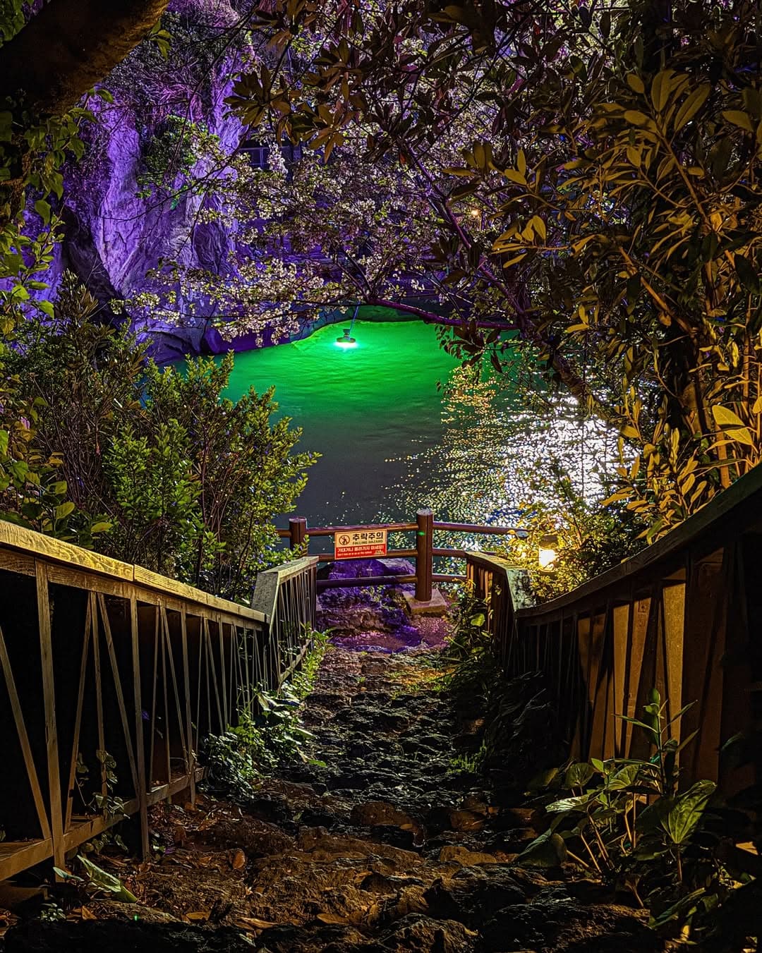 Yongyeon Valley's Magical Nighttime Ambiance