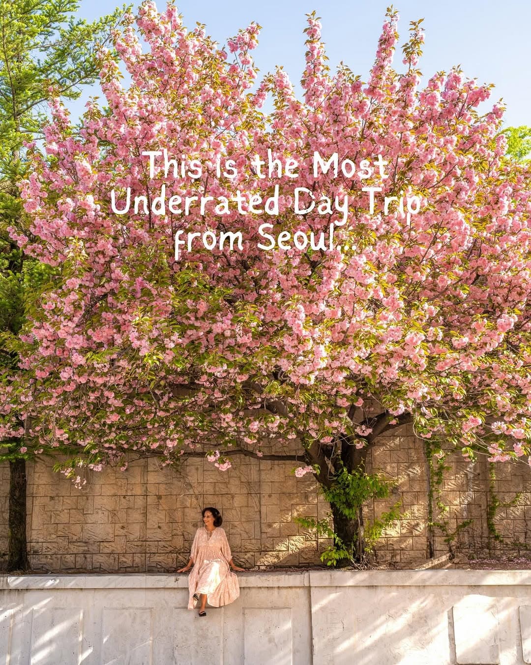 Suwon: Historic Fortress, Artful Streets, and Modern Escapes