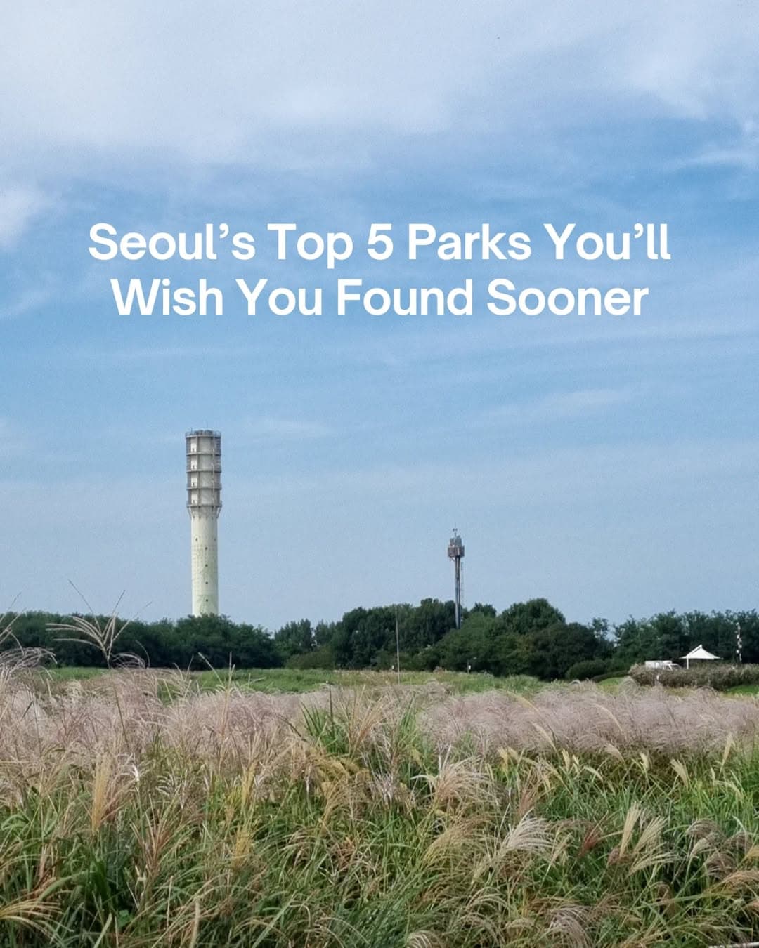 Five Scenic Parks Offer Seoul's Best City Views