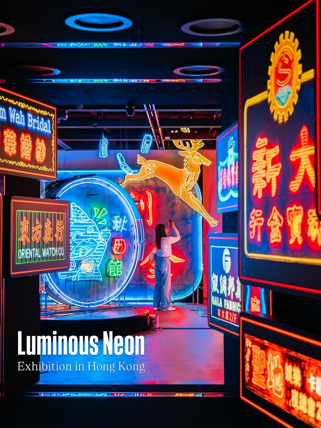 Luminous Neon Exhibition at DX Design Hub