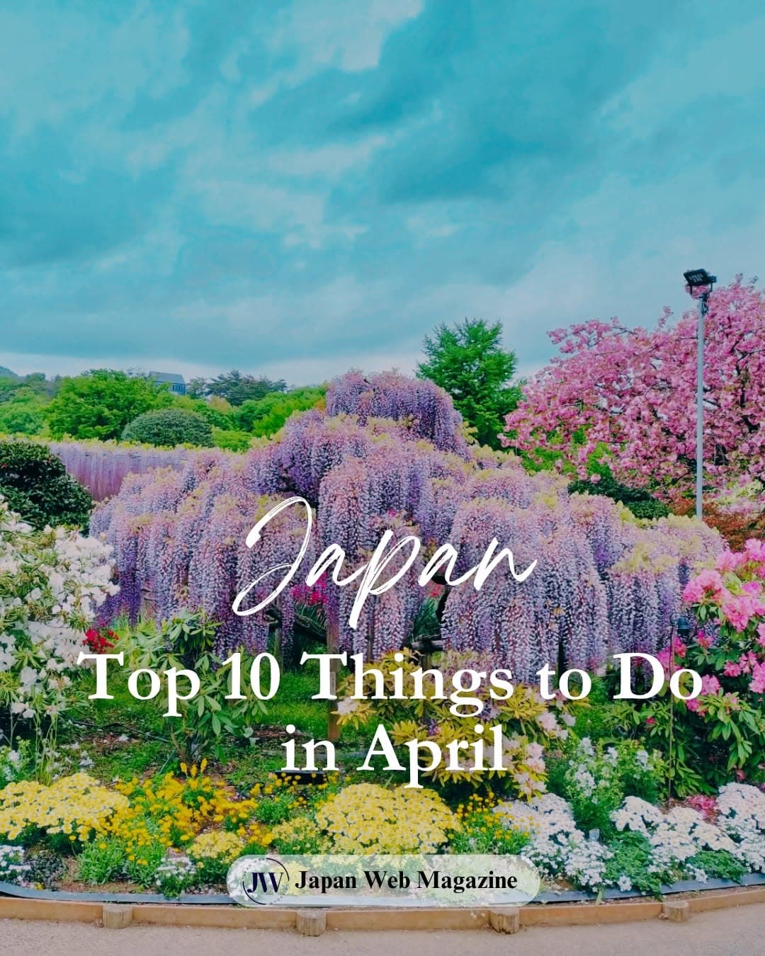 Spring Wonders in Japan's Flower Parks